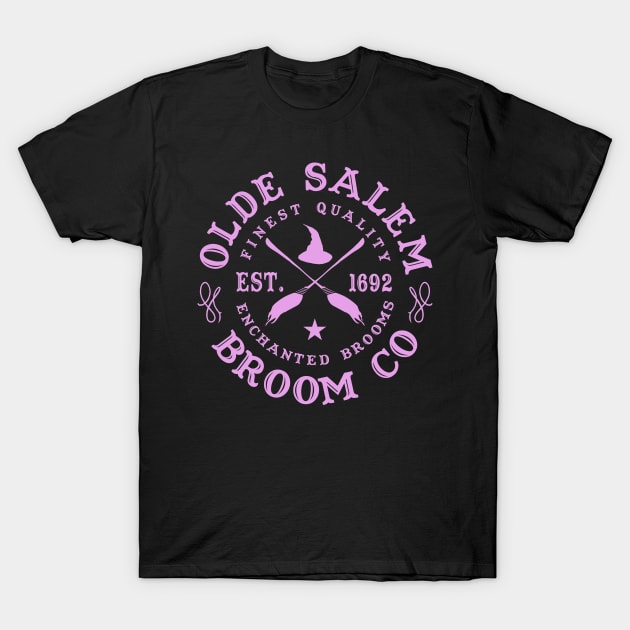 Wiccan Occult Witchcraft Salem Broom Company T-Shirt by Tshirt Samurai